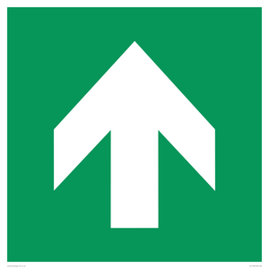 E907 Safe condition: Up / forwards arrow (90 deg supplimentary)